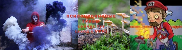 спиды Алзамай