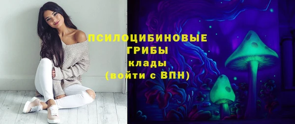 бошки Алексин