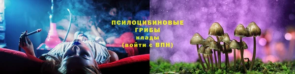 ГАЛЛЮЦИНОГЕННЫЕ ГРИБЫ Новокубанск