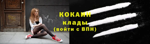 бошки Алексин