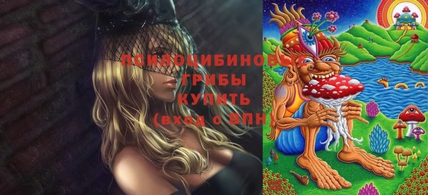 а пвп мука Новозыбков