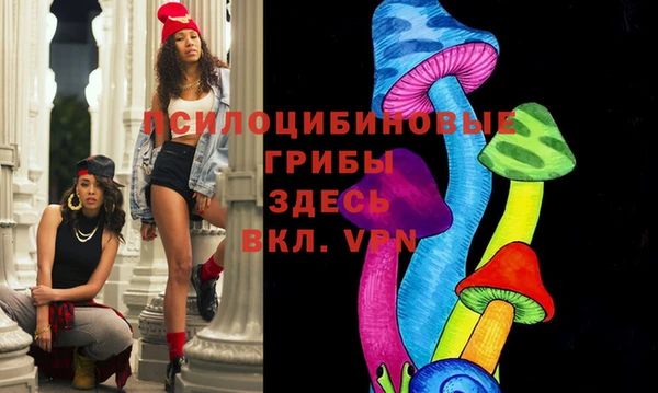 спиды Алзамай