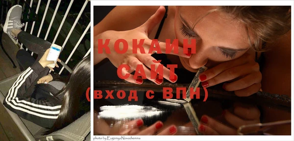 индика Алексеевка
