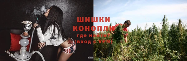 бошки Алексин