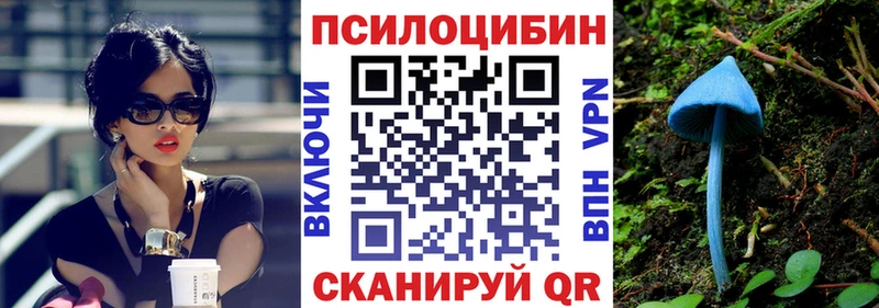Псилоцибиновые грибы мухоморы  где продают наркотики  Арзамас 