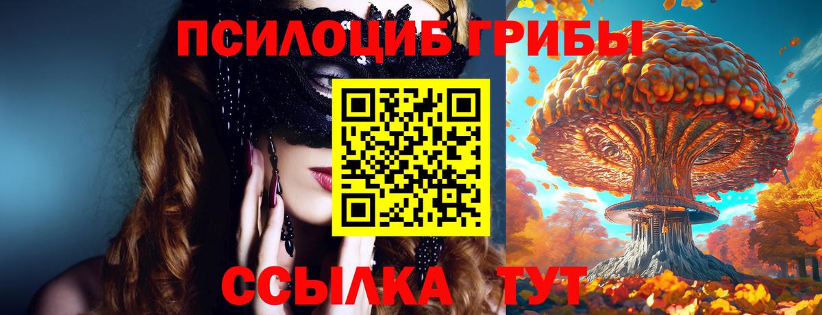 Галлюциногенные грибы GOLDEN TEACHER Арзамас