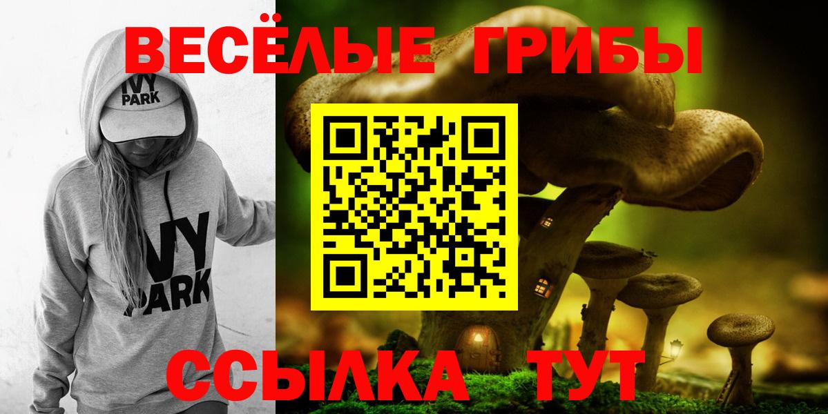 Псилоцибиновые грибы Psilocybe  цена   Арзамас  Вход с VPN 